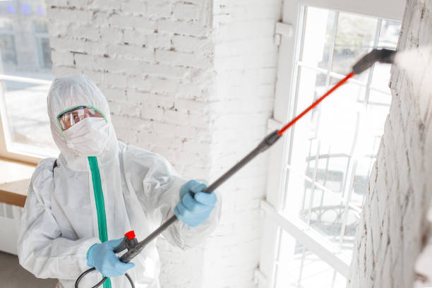 Reliable Beechwood Village, KY Mold Remediation Solutions